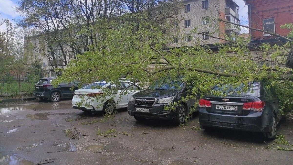Падение деревьев из-за сильного ветра в Калуге. 19 апреля 2024 Падение деревьев из-за сильного ветра в Калуге. 19 апреля 2024 - РИА Новости, 1920, 19.04.2024