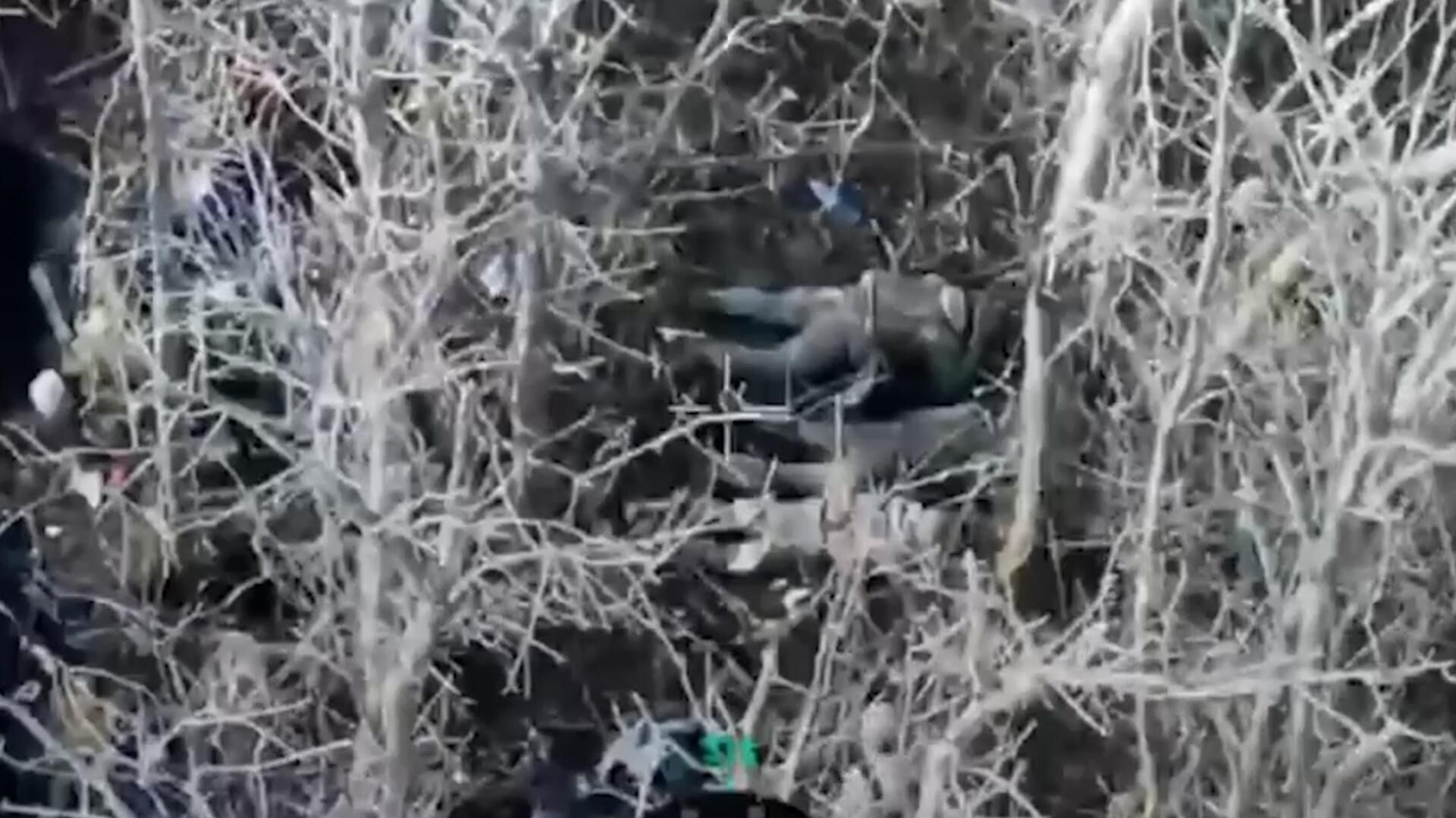 Захват позиций штурмовой группой группировки войск Запад Захват позиций штурмовой группой группировки войск Запад - РИА Новости, 1920, 21.04.2024