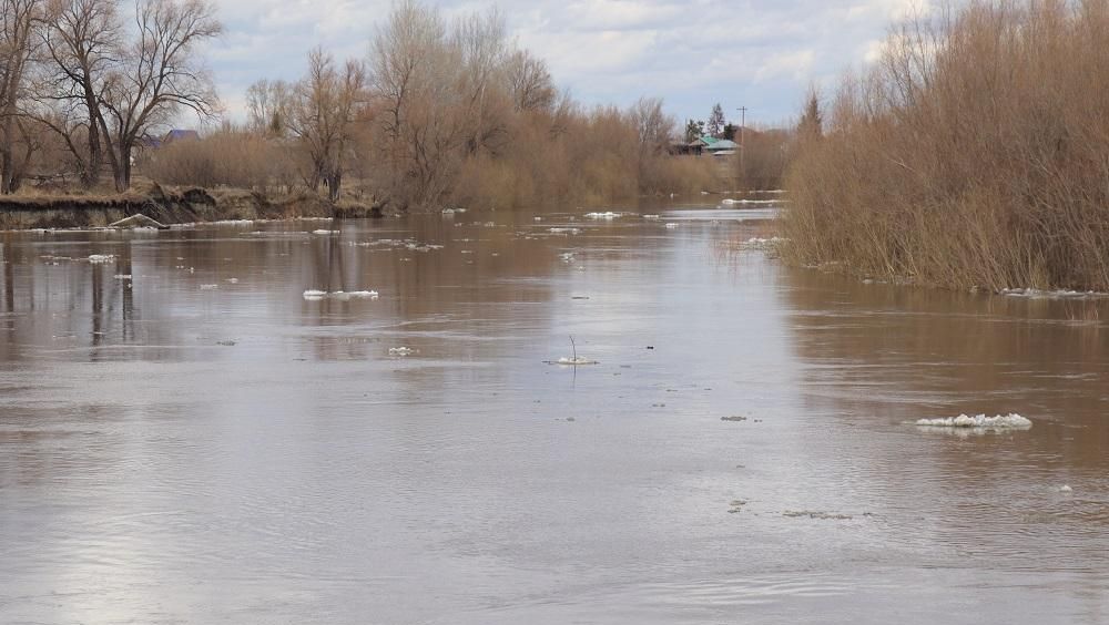 Разлив реки Тобол в городе Ялуторовске Тюменской области Разлив реки Тобол в городе Ялуторовске Тюменской области - РИА Новости, 1920, 21.04.2024