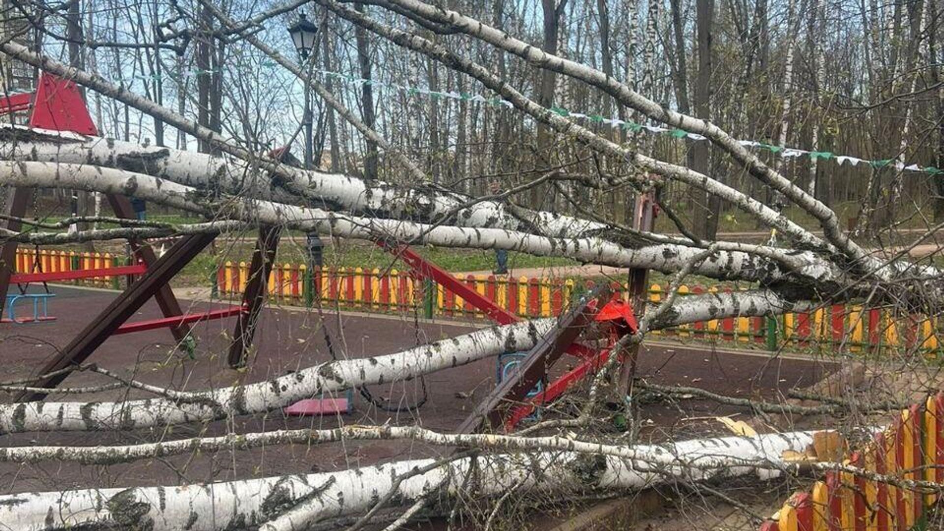 Дерево упало на девочку на детской площадке в Красногорске Московской области Дерево упало на девочку на детской площадке в Красногорске Московской области - РИА Новости, 1920, 21.04.2024