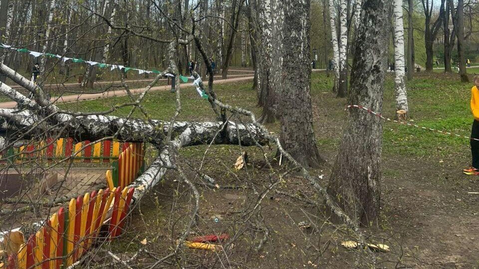 Место падения дерева на детскую площадку в Красногорске Место падения дерева на детскую площадку в Красногорске - РИА Новости, 1920, 23.04.2024