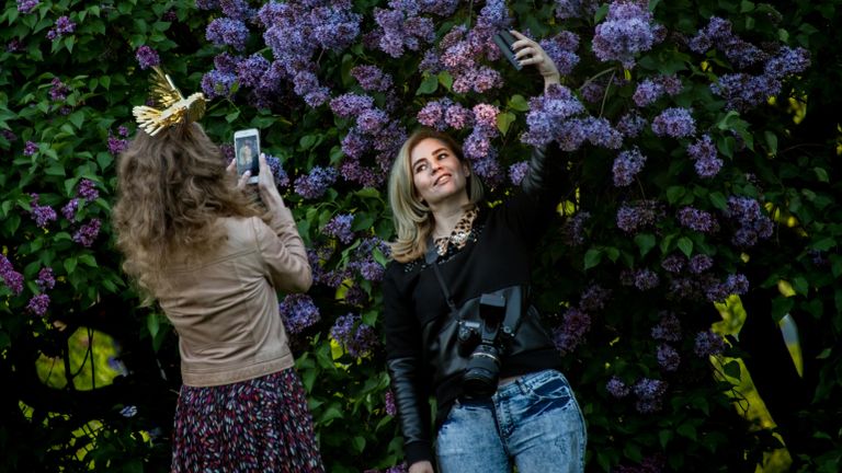 Девушки фотографируются возле сирени в Сиреневом саду в Москве Девушки фотографируются возле сирени в Сиреневом саду в Москве