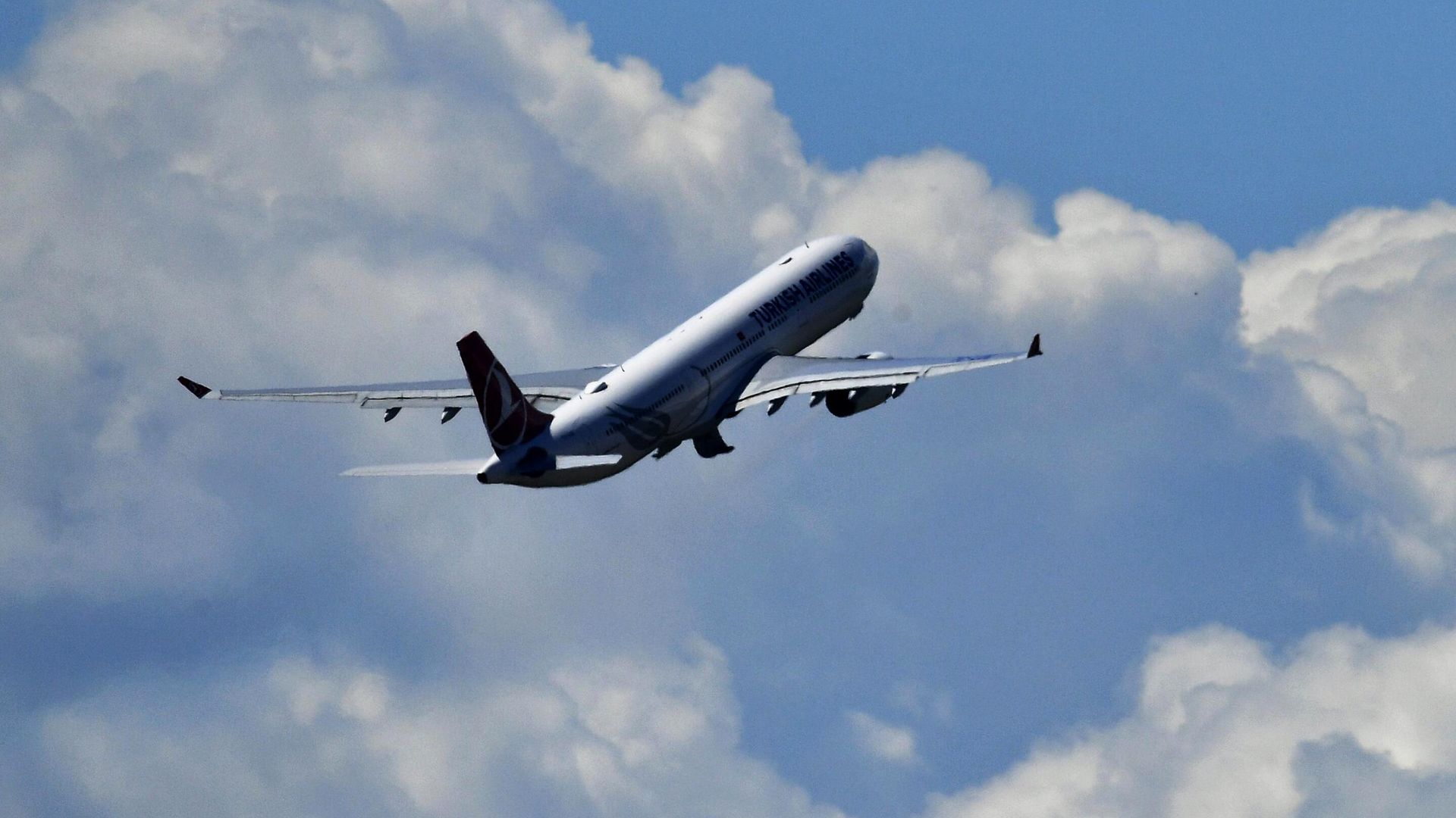Cамолет Airbus A330 турецкой авиакомпании Turkish Airlines - РИА Новости, 1920, 23.02.2025