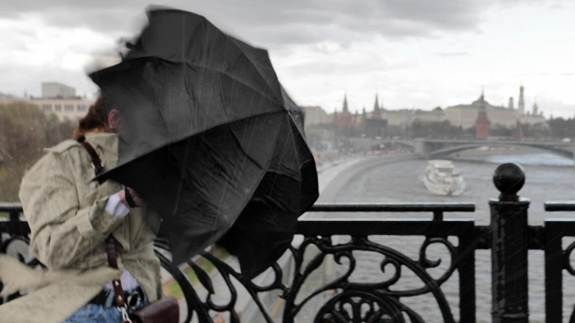 Шквалистый ветер и ливень в Москве Шквалистый ветер и ливень в Москве - РИА Новости, 1920, 20.06.2024