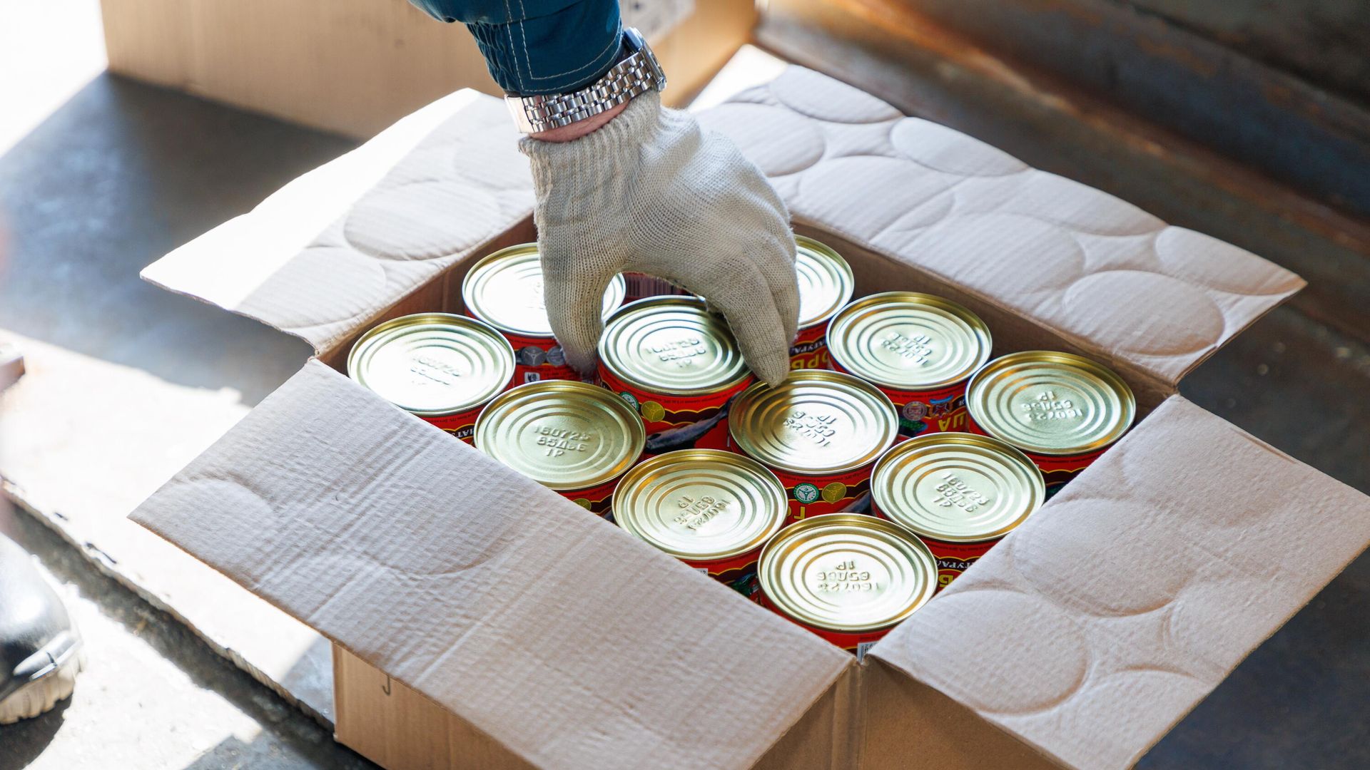 Дальний Восток передал очередную партию рыбной продукции жителям ДНР и участникам СВО - РИА Новости, 1920, 02.05.2024
