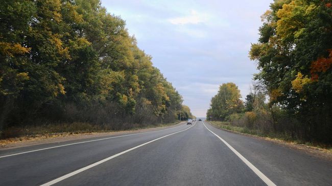 Дорога в Подмосковье