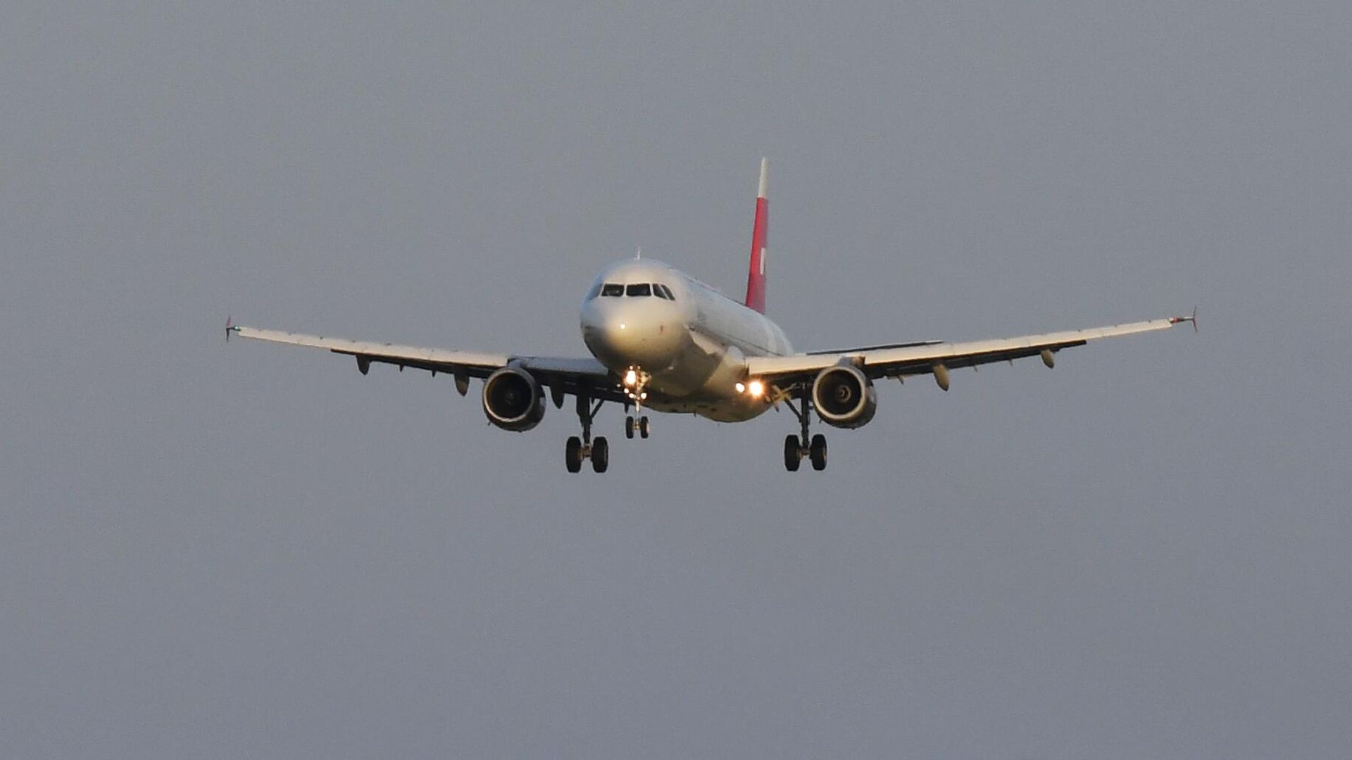 Самолет авиакомпании Nordwind Airlines Самолет авиакомпании Nordwind Airlines - РИА Новости, 1920, 25.12.2024