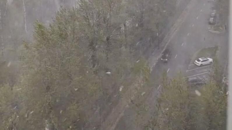 Снегопад в Москве 8 мая. Кадр видео Снегопад в Москве 8 мая. Кадр видео - РИА Новости, 1920, 08.05.2024
