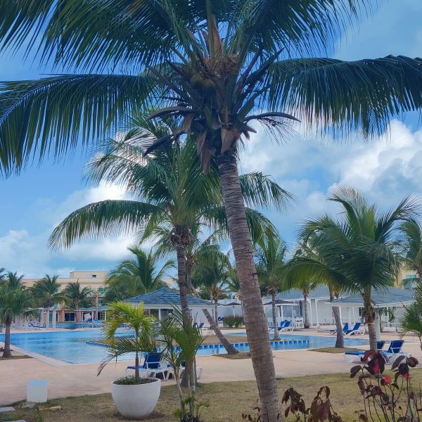 Куба. Территория отеля Meliá Jardines del Rey на Кайо-Коко