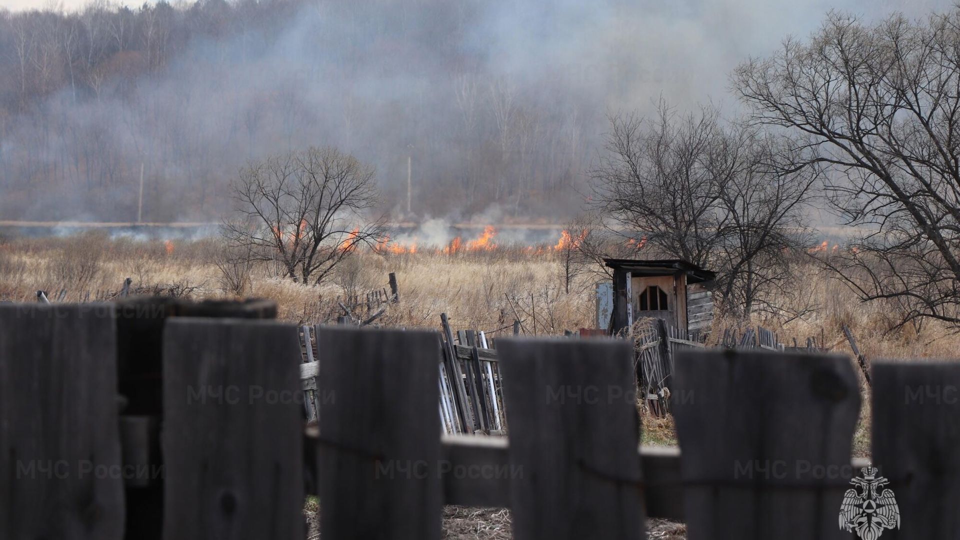Природный пожар в Амурской области Природный пожар в Амурской области - РИА Новости, 1920, 13.05.2024