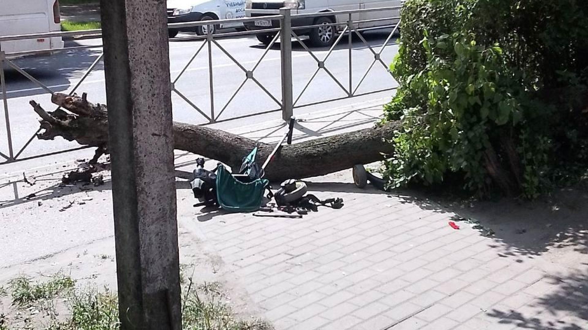 Место происшествия, где дерево упало на коляску в Черняховске под Калининградом Место происшествия, где дерево упало на коляску в Черняховске под Калининградом - РИА Новости, 1920, 21.05.2024
