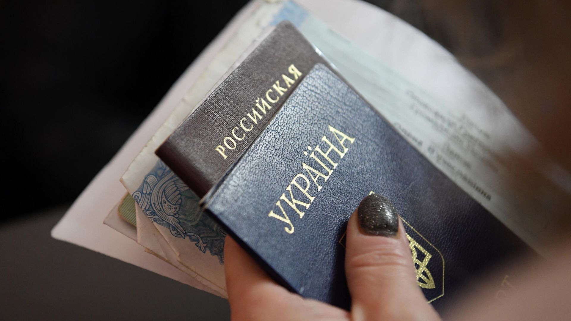 Российский и украинский паспорт Российский и украинский паспорт - РИА Новости, 1920, 02.07.2025