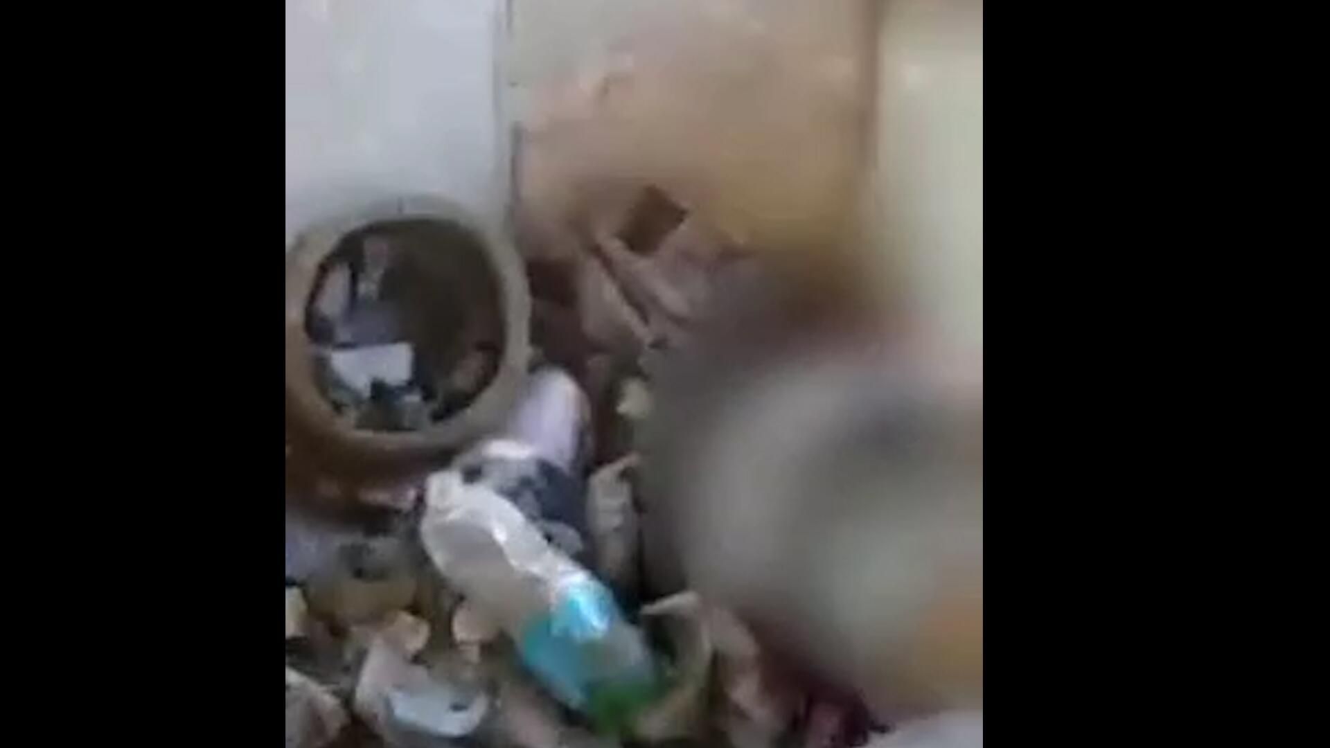 Видео из заваленных телами украинских военных подвалов в Крынках Видео из заваленных телами украинских военных подвалов в Крынках - РИА Новости, 1920, 28.05.2024