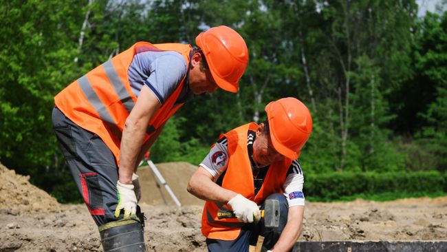 Работы по созданию нового орнитария в парке Сокольники в Москве