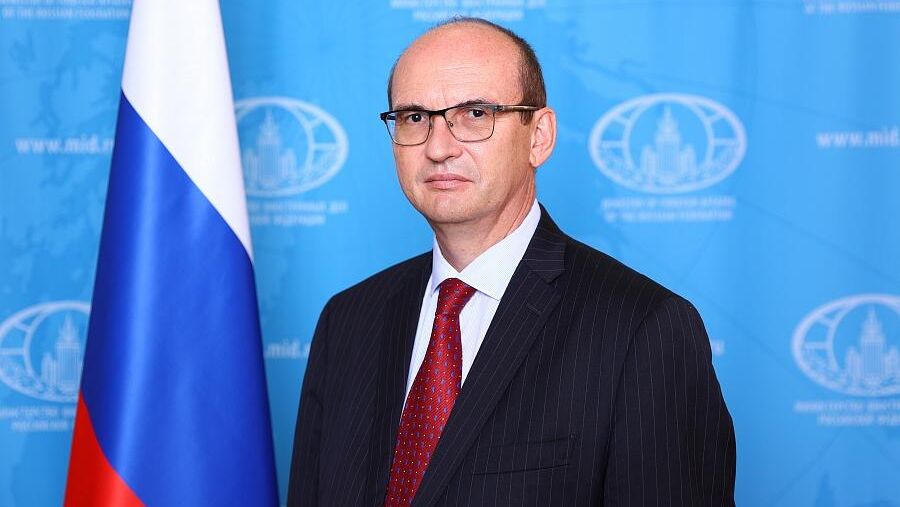 Чрезвычайный и полномочный посол Российской Федерации в республике Сенегал и республике Гамбии по совместительству Дмитрий Кураков Чрезвычайный и полномочный посол Российской Федерации в республике Сенегал и республике Гамбии по совместительству Дмитрий Кураков - РИА Новости, 1920, 02.06.2024