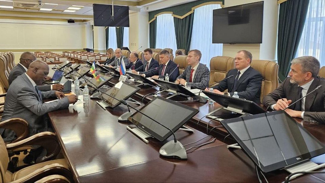 Двусторонняя встреча заместителя министра природных ресурсов и экологии России Дмитрия Тетенькина с министром по крупным работам и стратегическим инвестициям Центральноафриканской Республики (ЦАР) Паскалем Биду Коягбеле - РИА Новости, 1920, 11.06.2024