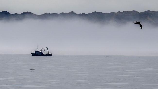 Судно в море
