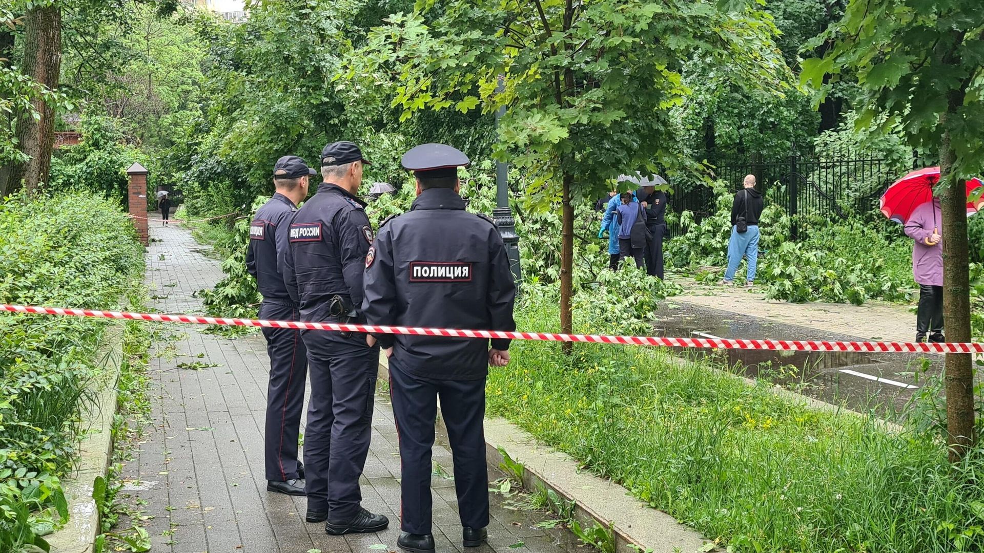 Обстановка на улице Ивановская в Тимирязевском районе Москвы, где упавшее дерево насмерть придавило прохожего Обстановка на улице Ивановская в Тимирязевском районе Москвы, где упавшее дерево насмерть придавило прохожего - РИА Новости, 1920, 20.06.2024