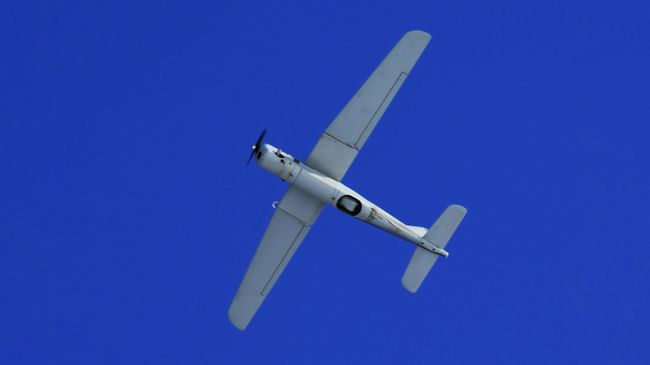 Беспилотный летательный аппарат (БЛА) Орлан-10
