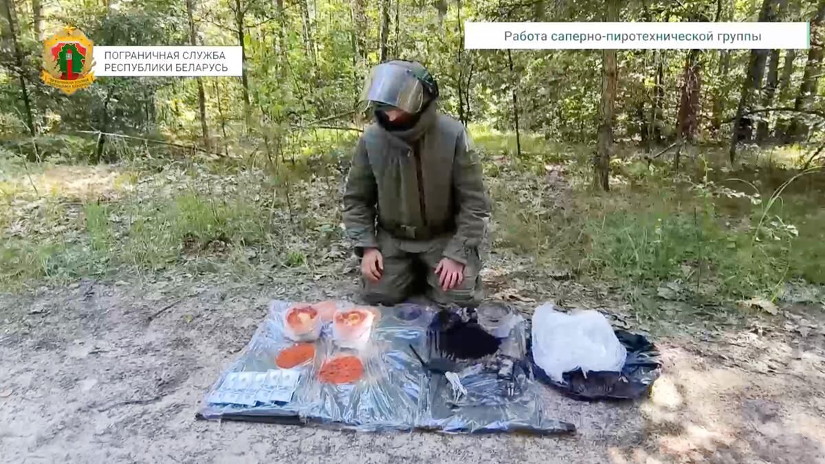 Компоненты для изготовления самодельных взрывных устройств, обнаруженные в тайнике на границе Белоруссии и Украины Компоненты для изготовления самодельных взрывных устройств, обнаруженные в тайнике на границе Белоруссии и Украины - РИА Новости, 1920, 28.06.2024
