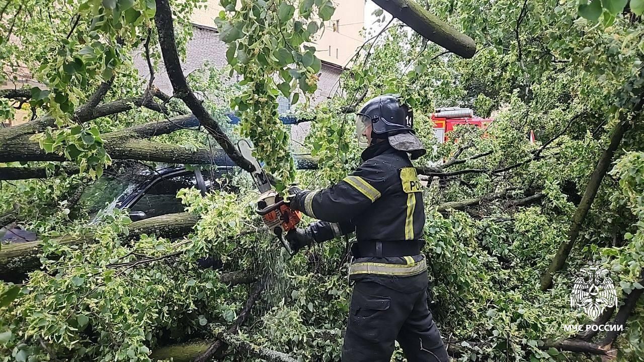 Сотрудник МЧС во время ликвидации последствий урагана в Санкт-Петербурге Сотрудник МЧС во время ликвидации последствий урагана в Санкт-Петербурге - РИА Новости, 1920, 02.07.2024