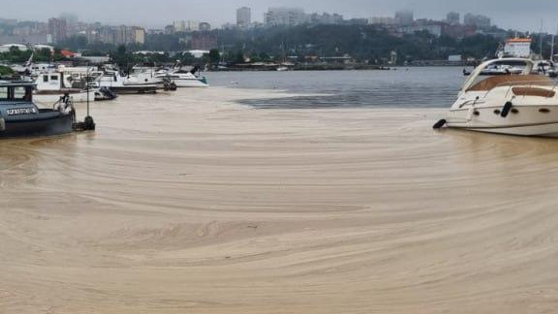 Разводы светло-коричневого цвета, появившиеся на поверхности Амурского залива во Владивостоке. 7 июля 2024 Разводы светло-коричневого цвета, появившиеся на поверхности Амурского залива во Владивостоке. 7 июля 2024 - РИА Новости, 1920, 07.07.2024