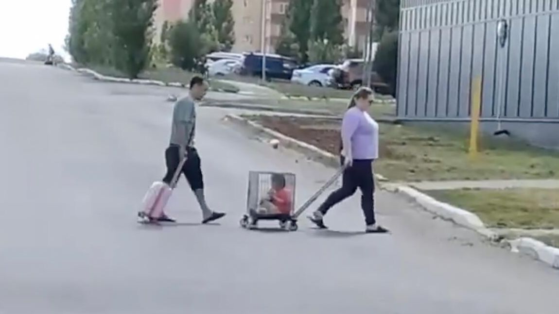 Родители перевозят ребенка в клетке в Оренбурге Родители перевозят ребенка в клетке в Оренбурге - РИА Новости, 1920, 10.07.2024