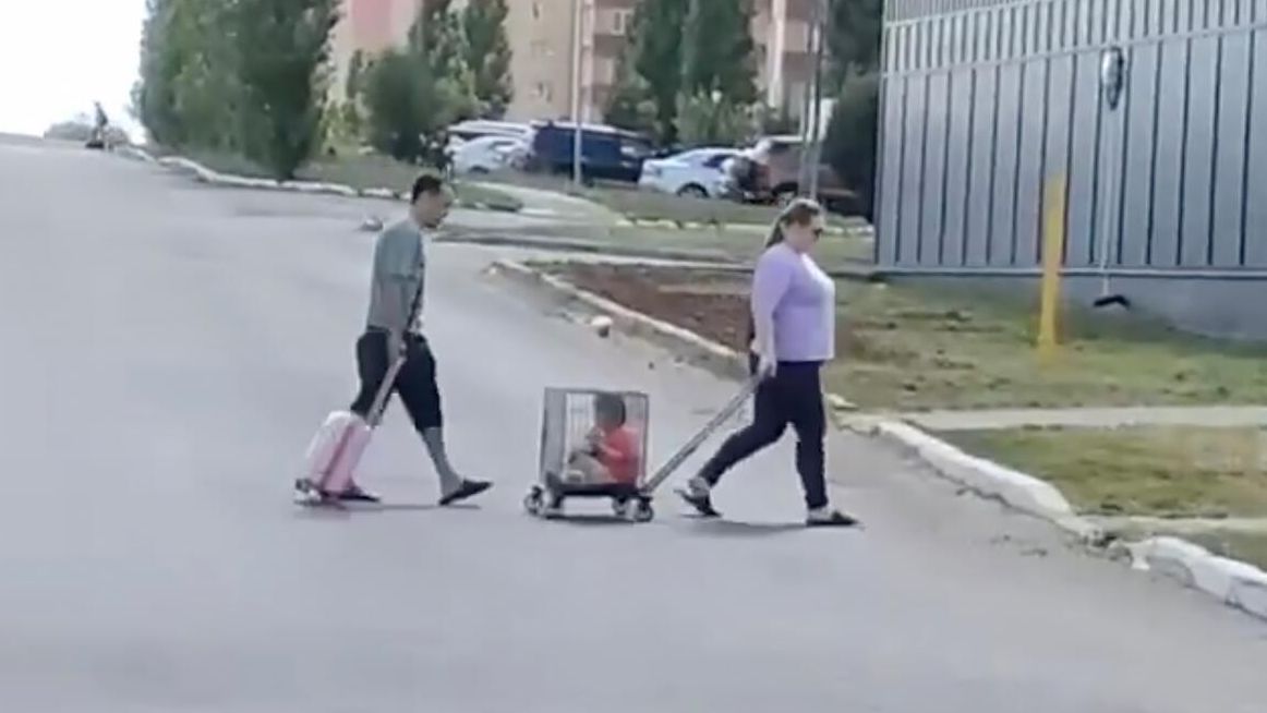 Родители перевозят ребенка в клетке в Оренбурге Родители перевозят ребенка в клетке в Оренбурге - РИА Новости, 1920, 10.07.2024