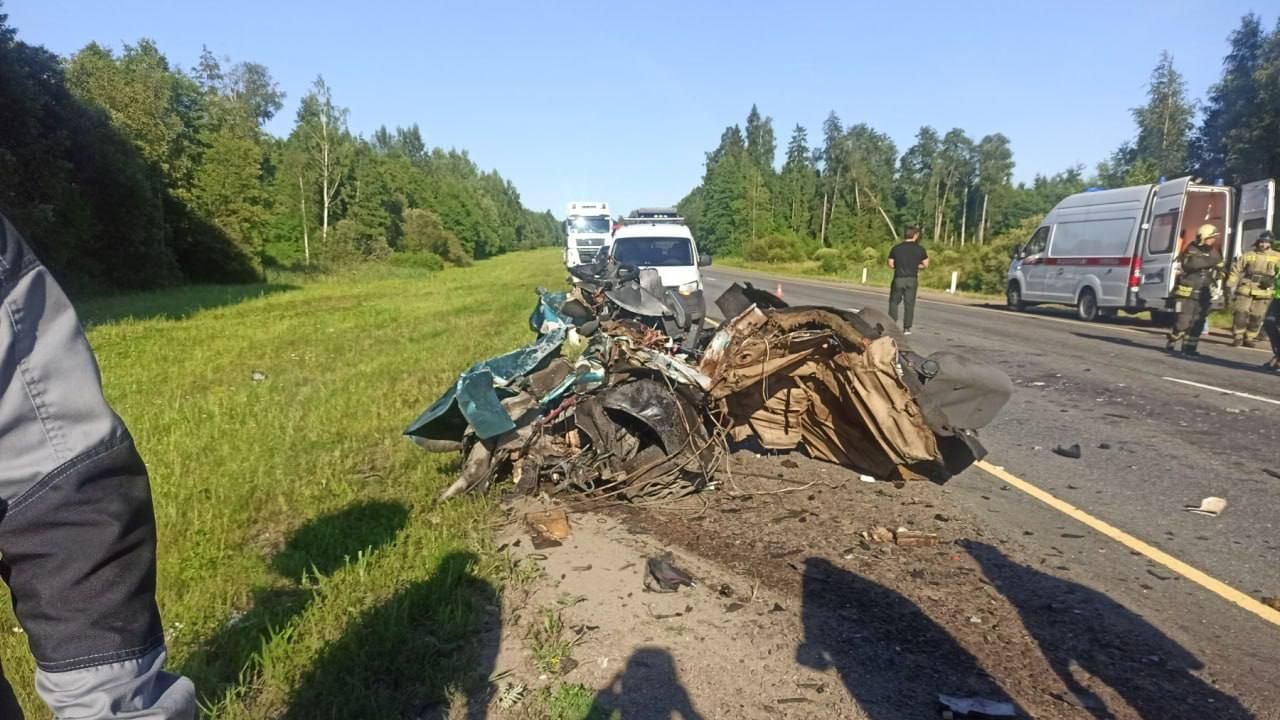 На месте ДТП на 123-м километре трассы А-180 Нарва в Кингисеппском районе Ленинградской области На месте ДТП на 123-м километре трассы А-180 Нарва в Кингисеппском районе Ленинградской области - РИА Новости, 1920, 24.06.2026