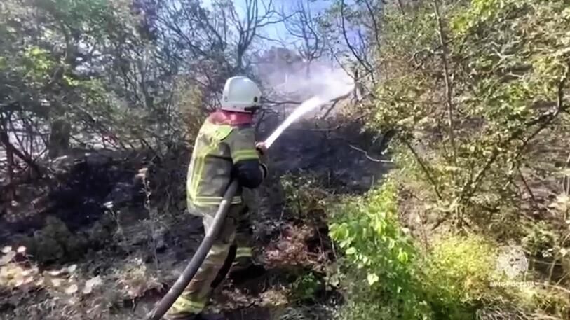 Лесной пожар под Новороссийском. Стоп-кадр видео Лесной пожар под Новороссийском. Стоп-кадр видео - РИА Новости, 1920, 14.07.2024
