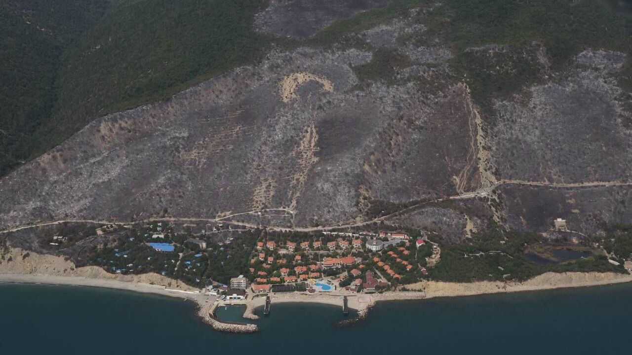 Последствия лесного пожара в районе урочища Сухая щель. 15 июля 2024 Последствия лесного пожара в районе урочища Сухая щель. 15 июля 2024 - РИА Новости, 1920, 15.07.2024