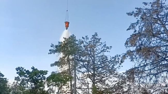 Тушение пожара в Коктебеле