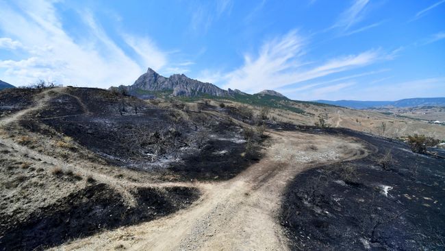 Последствия пожара в Коктебеле