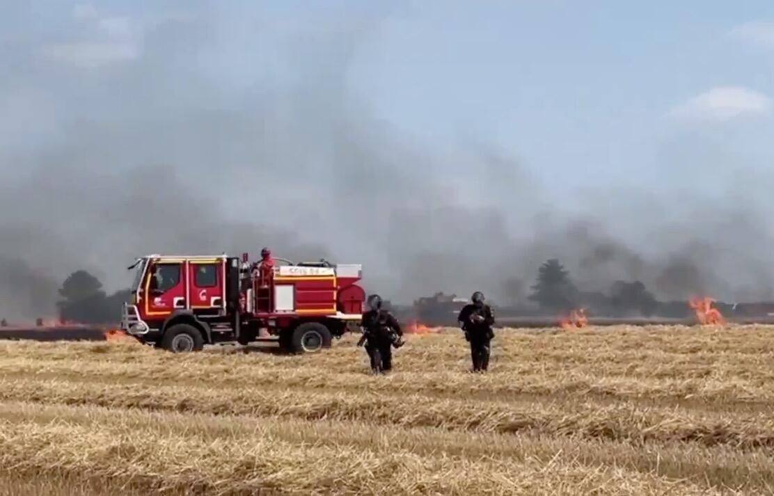 Ликвидация пожара на поле во французской коммуне Минье-Оксанс, произошедшего после применения гранат со слезоточивым газом против демонстрантов, протестующих из-за строительства водохранилищ во Франции - РИА Новости, 1920, 14.08.2026