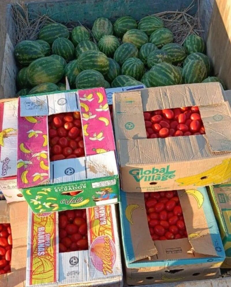 Сельхозпроизводители из Енотаевского района отправили продукцию в зону СВО Сельхозпроизводители из Енотаевского района отправили продукцию в зону СВО - РИА Новости, 1920, 31.07.2024