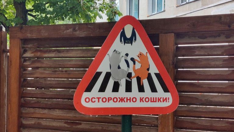 Зеленоградск. Необычный дорожный знак