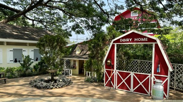 На фермерском маркете Dairy Home Farm,Таиланд На фермерском маркете Dairy Home Farm,Таиланд