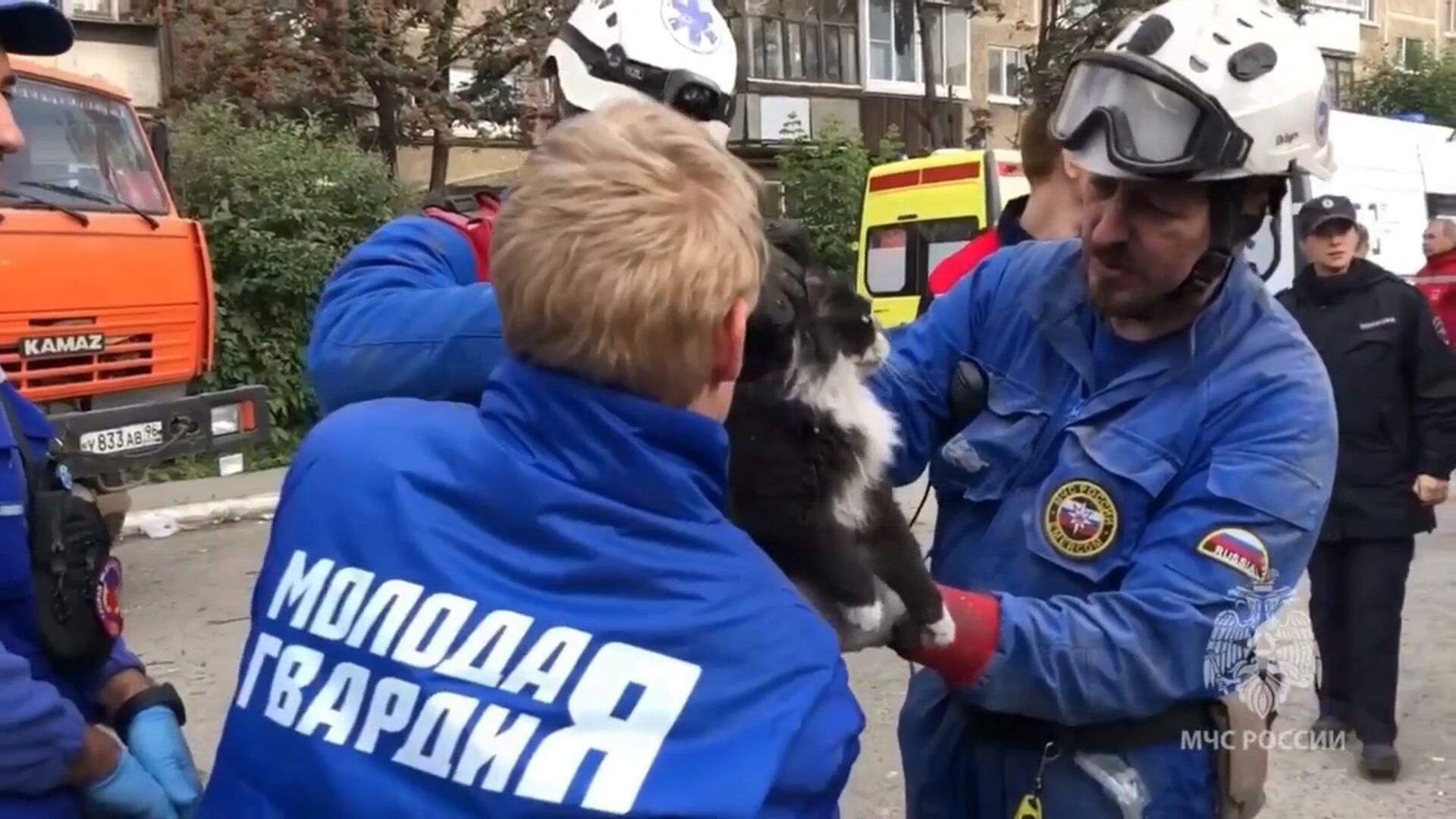 Спасение кота из-под бетонной плиты обрушившегося дома в Нижнем Тагиле Спасение кота из-под бетонной плиты обрушившегося дома в Нижнем Тагиле - РИА Новости, 1920, 02.08.2024