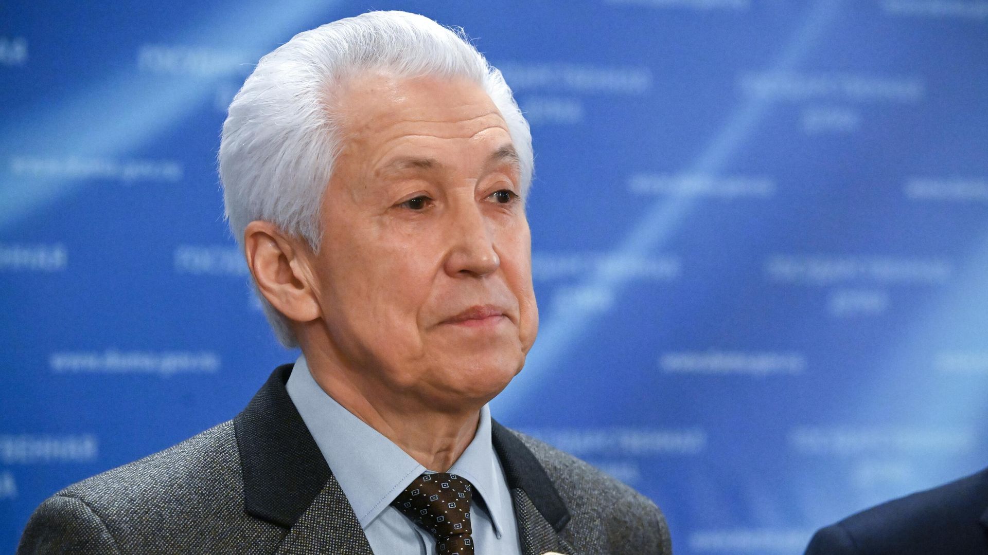 Руководитель фракции Единая Россия в Государственной Думе РФ, член комитет Государственной Думы РФ по безопасности и противодействию коррупции Владимир Васильев - РИА Новости, 1920