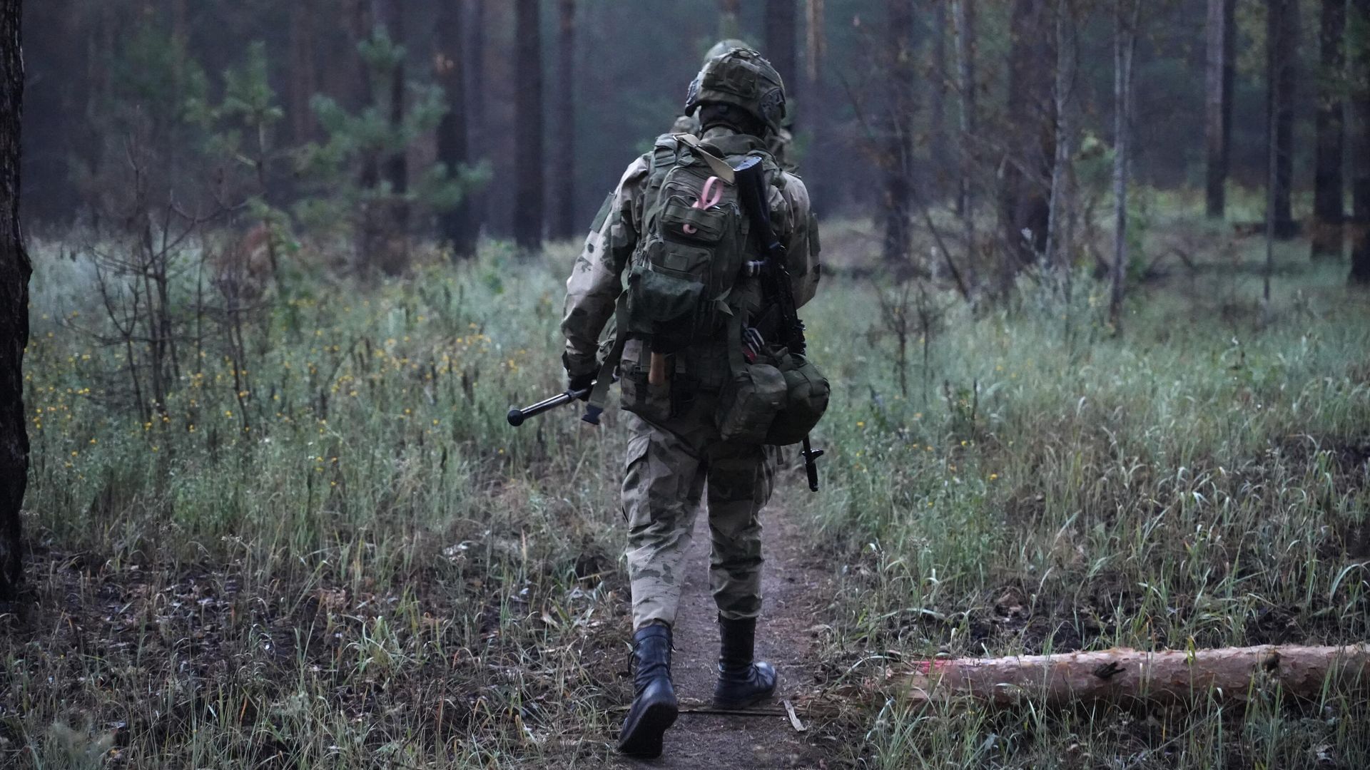 Саперы проверяют тропу Саперы проверяют тропу - РИА Новости, 1920, 21.08.2024