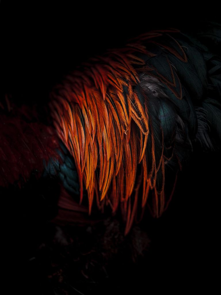 Снимок Pita Pinta фотографа из Испании Jose Manuel Garcia Gonzalez, занявший первое место в категории Abstract конкурса IPPAWARDS 2024 Снимок Pita Pinta фотографа из Испании Jose Manuel Garcia Gonzalez, занявший первое место в категории Abstract конкурса IPPAWARDS 2024