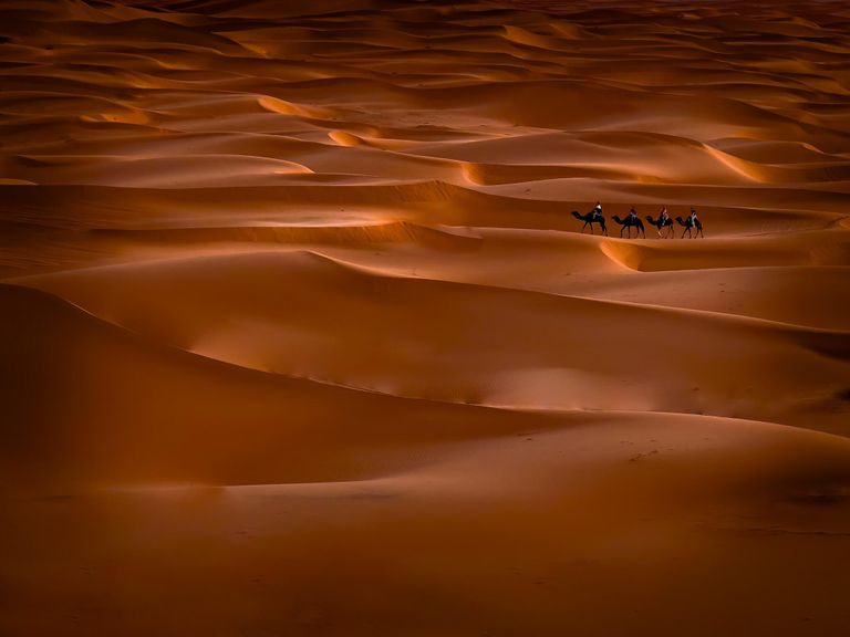 Снимок Sahara Surfing фотографа из Швеции Khalid Mahmood, занявший первое место в категории Travel конкурса IPPAWARDS 2024 Снимок Sahara Surfing фотографа из Швеции Khalid Mahmood, занявший первое место в категории Travel конкурса IPPAWARDS 2024