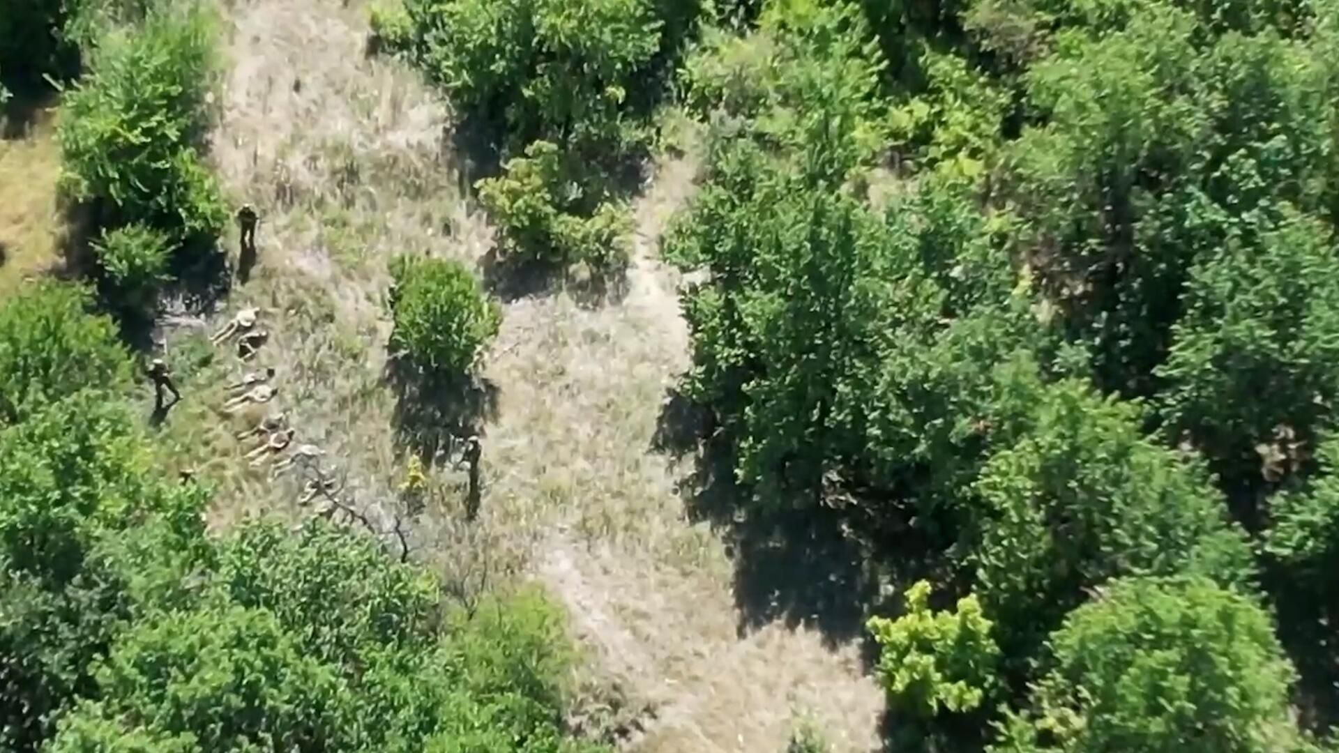 Украинские военные сдаются в плен у деревни Спальное в Курской области Украинские военные сдаются в плен у деревни Спальное в Курской области - РИА Новости, 1920, 21.08.2024