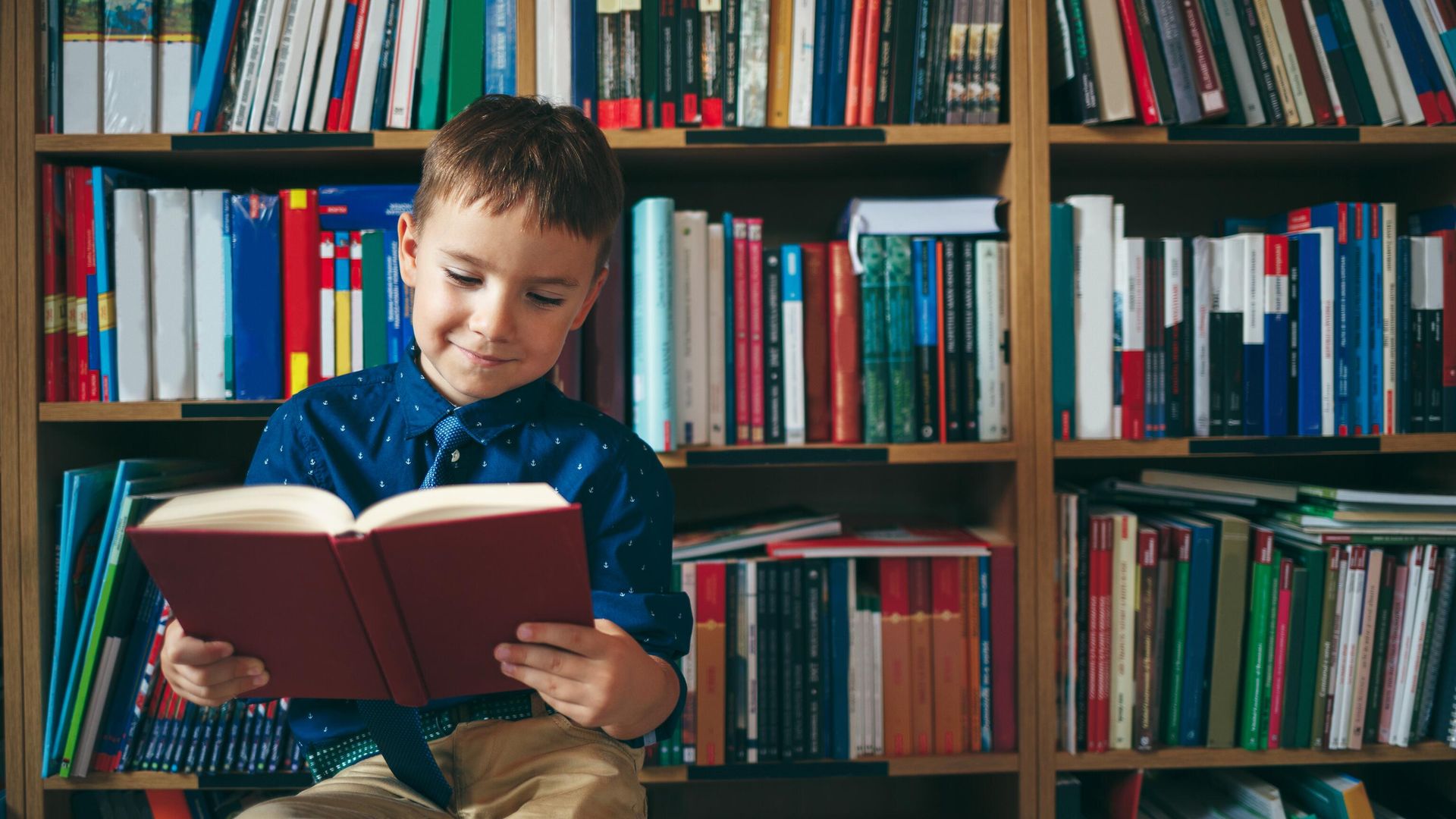 Школьник читает книгу в библиотеке Школьник читает книгу в библиотеке - РИА Новости, 1920, 02.12.2024