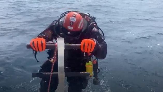 Водолаз во время поисковой операции на озере Гурон Водолаз во время поисковой операции на озере Гурон - РИА Новости, 1920, 31.08.2024