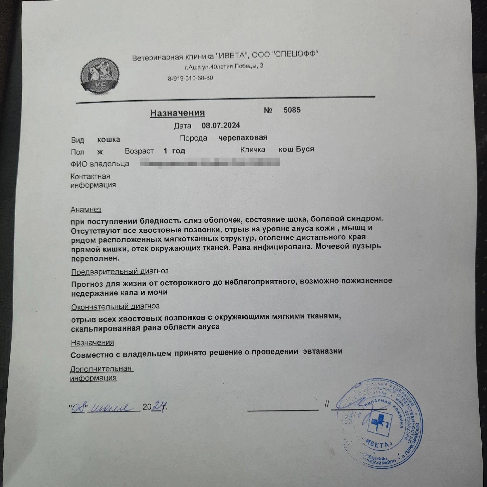Заключение ветеринара Заключение ветеринара - РИА Новости, 1920, 04.09.2024