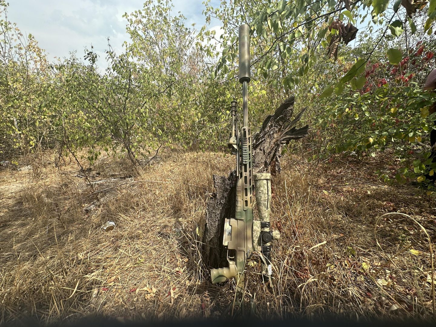 Винтовка ОРСИС Т-5000.