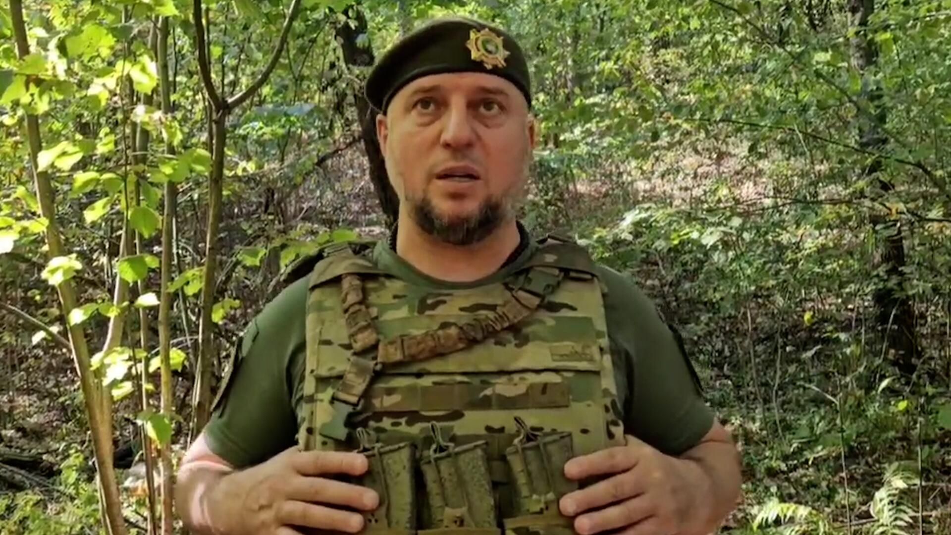 Алаудинов: боевики Азова и Айдара участвовали в нападении на Курскую область Алаудинов: боевики Азова и Айдара участвовали в нападении на Курскую область - РИА Новости, 1920, 13.09.2024