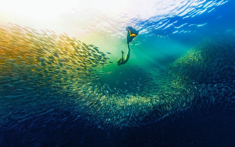 Работа фотографа Yue Hongjun из Китая, занявшая третье место в категории Human Connection Award: People & Planet Ocean конкурса Ocean Photographer of the Year 2024 Работа фотографа Yue Hongjun из Китая, занявшая третье место в категории Human Connection Award: People & Planet Ocean конкурса Ocean Photographer of the Year 2024