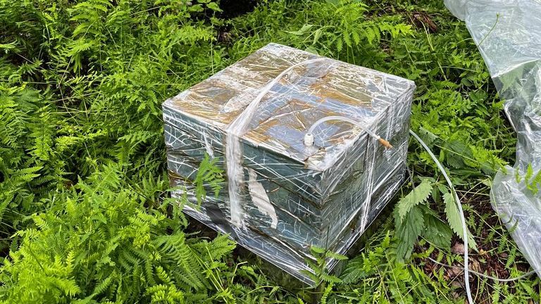 Портативный инфракрасный газоанализатор, соединенный с эмиссионной камерой, установлено на открытом участке Обского болота Портативный инфракрасный газоанализатор, соединенный с эмиссионной камерой, установлено на открытом участке Обского болота